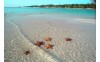 Todo Incluido Cayo Santa María con Panamá de regalo 7 días