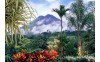 Cuba con Costa Rica- TI en Varadero 9 días