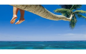 De Perú a Punta Cana