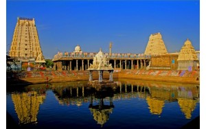 Resplandor de India del Sud 7 Días