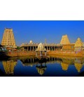 Resplandor de India del Sud 8 Días-USD 1,425