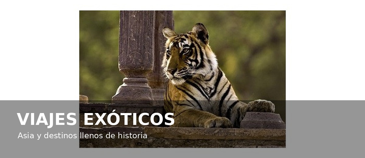 Oferta de viaje